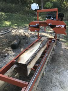 Click to enlarge image  - BLACK WALNUT LOG - ROUGH CUT CANT